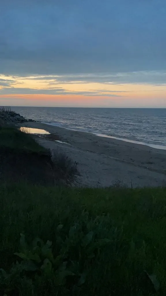 Чайная беседка