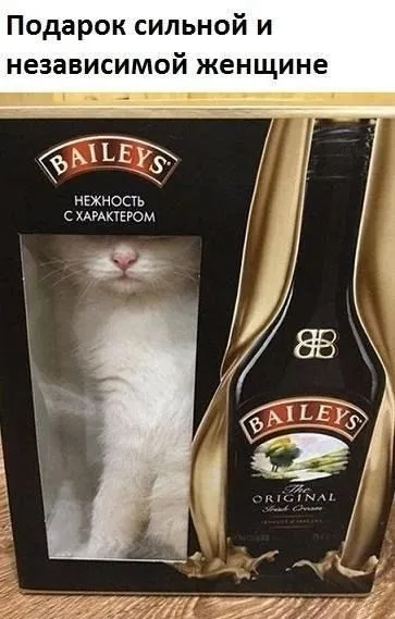 Кошичкина полиция