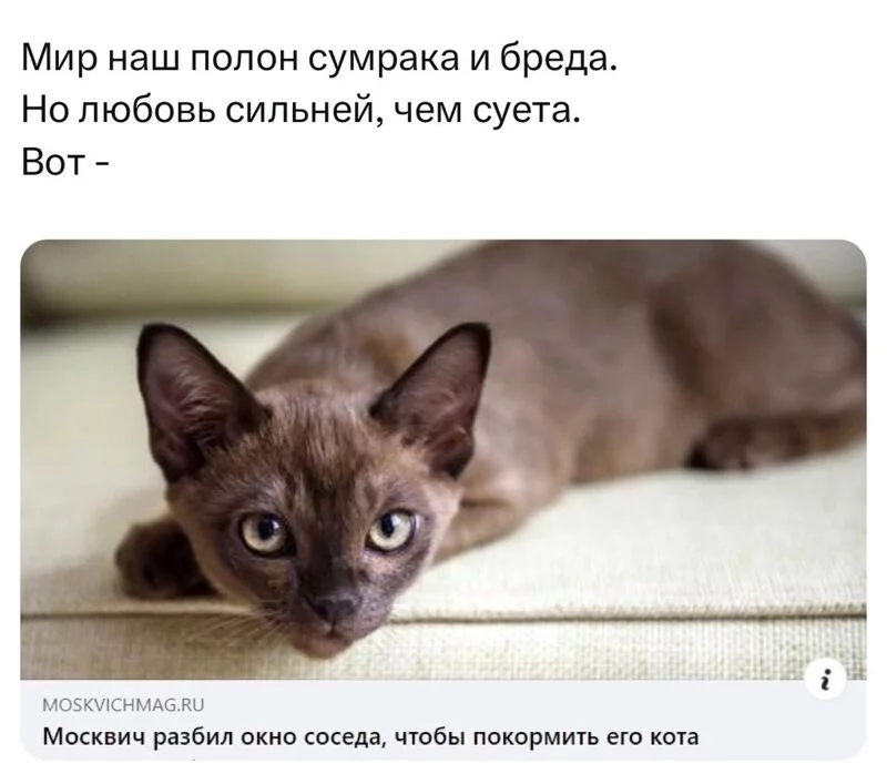Всюду рифмы