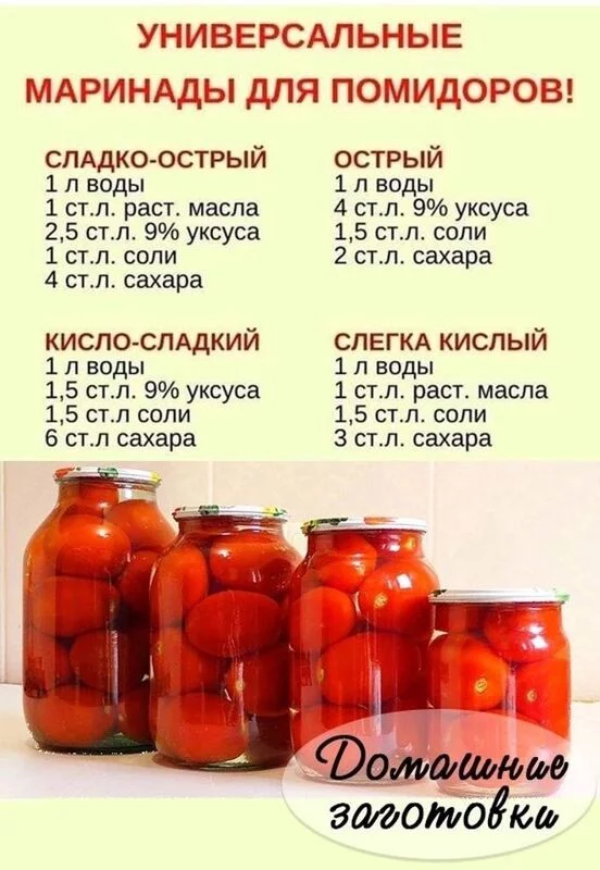 Кулинарная инфографика  в рецептах