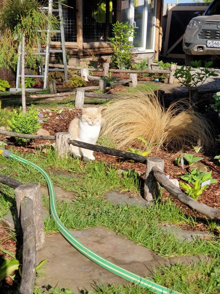 Чайная беседка