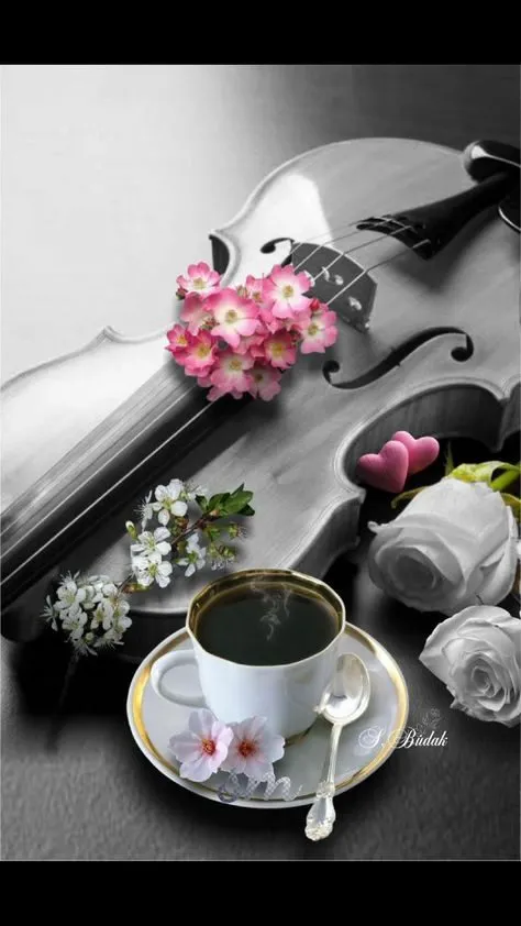 Tapтaлeтки & Ко