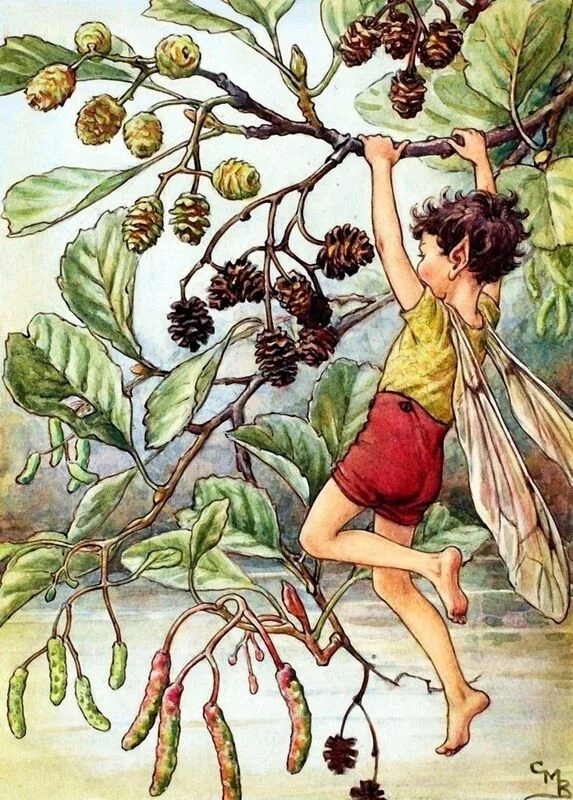 Арт галерея