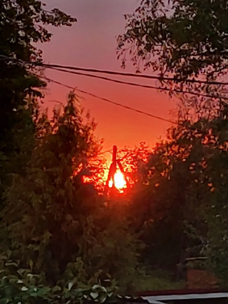 Такое разное небо