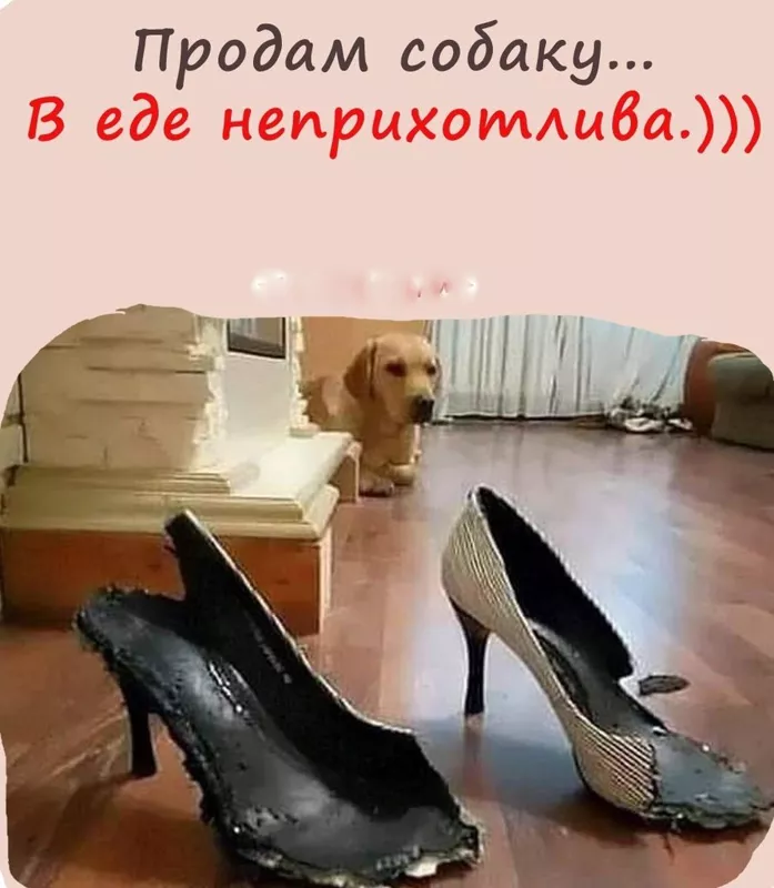 Посмеялся сам - поделись с другом!!!