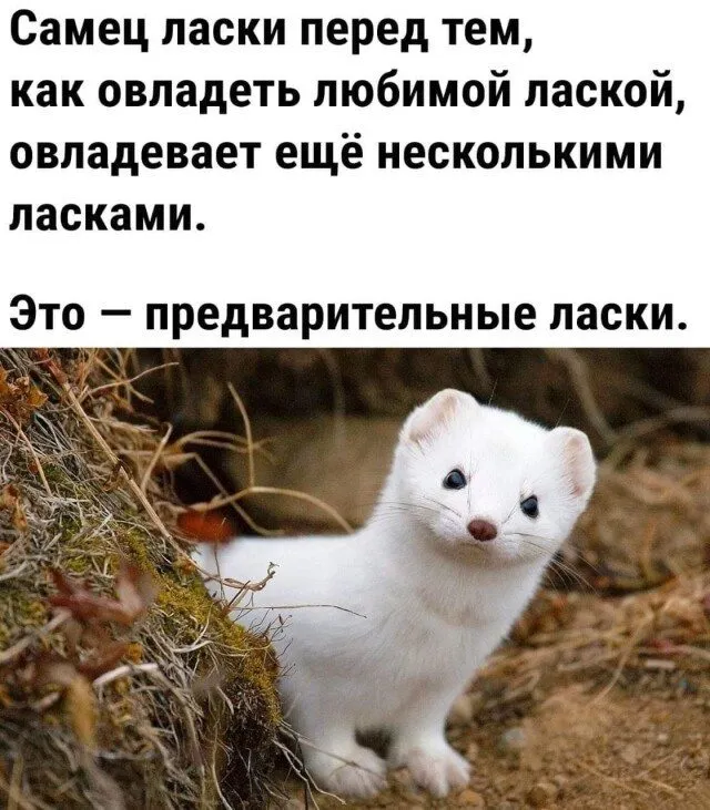 Посмеялся сам - поделись с другом!!!