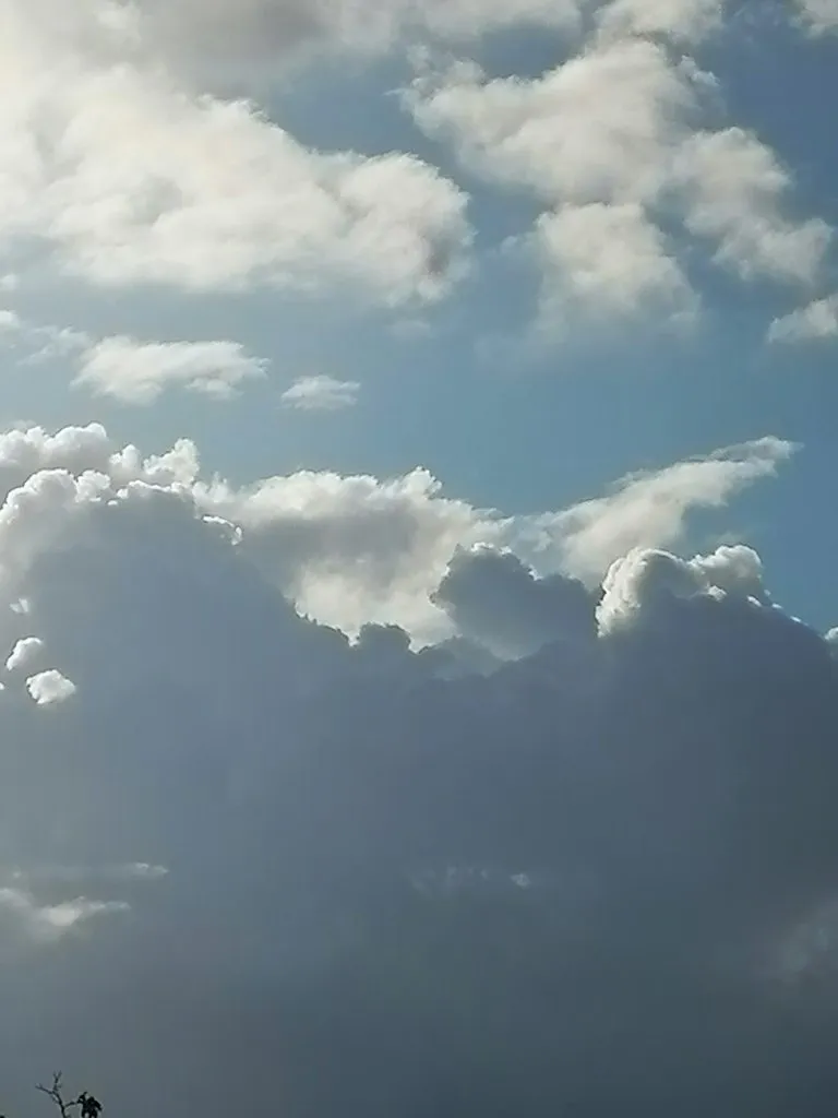 Такое разное небо