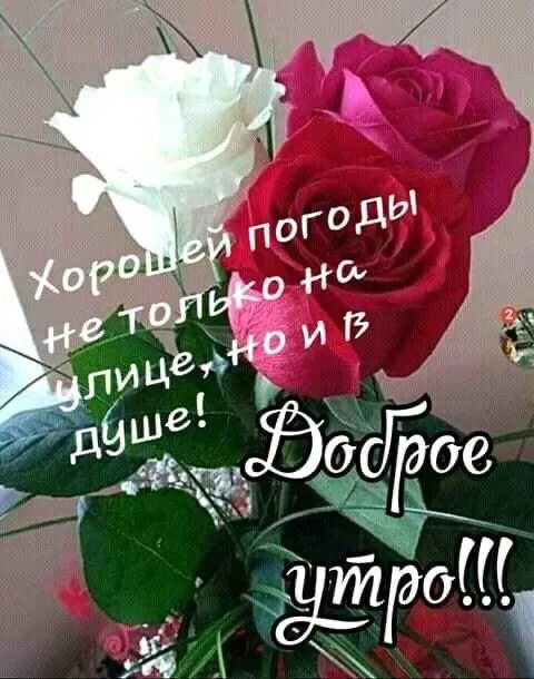 Tapтaлeтки & Ко