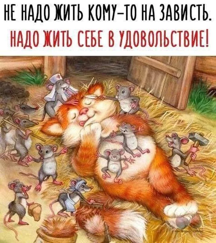 Позитивчик (фото, видео, рассказы для хорошего настроения)