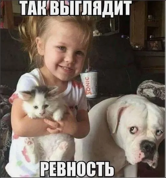 Посмеялся сам - поделись с другом!!!