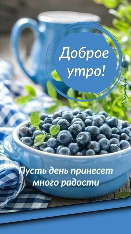 Кафе "У пани Сони"