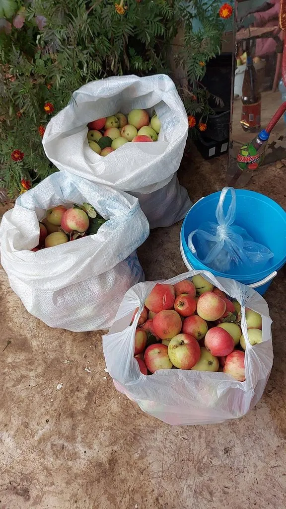 Чайная беседка