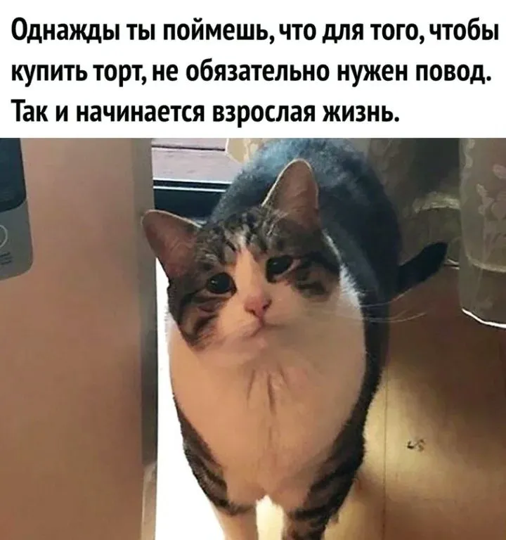 Посмеялся сам - поделись с другом!!!