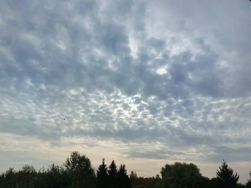 Такое разное небо