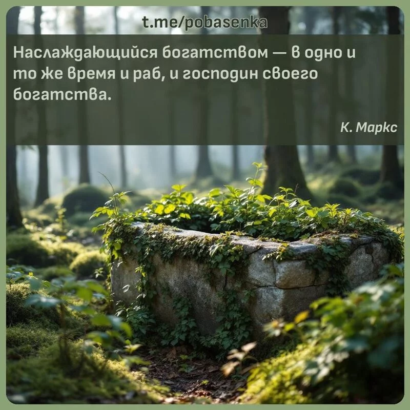 «Наслаждающийся богатством — в одно и то же время и раб, и господин своего...» height="550" width="550"