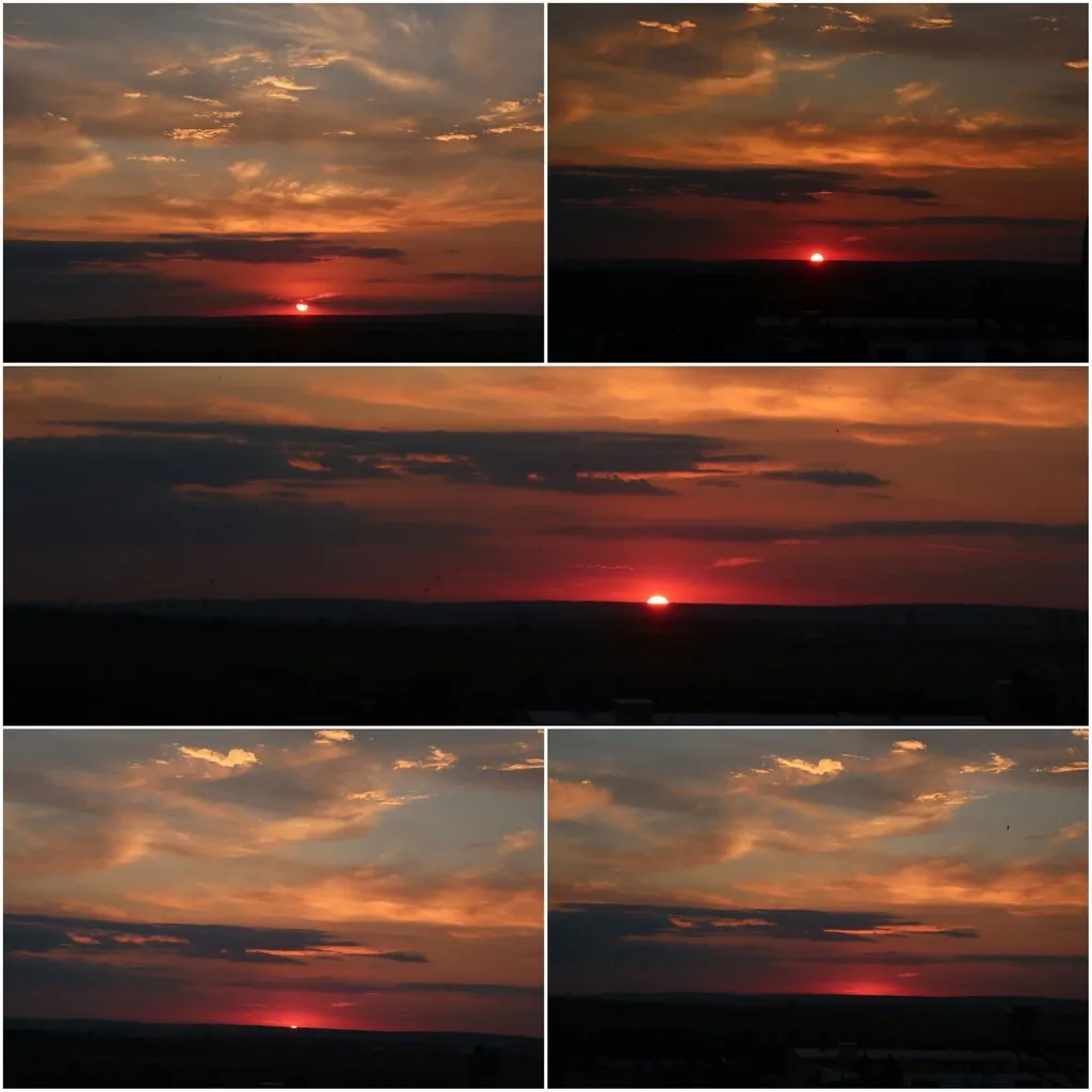 Чайная беседка