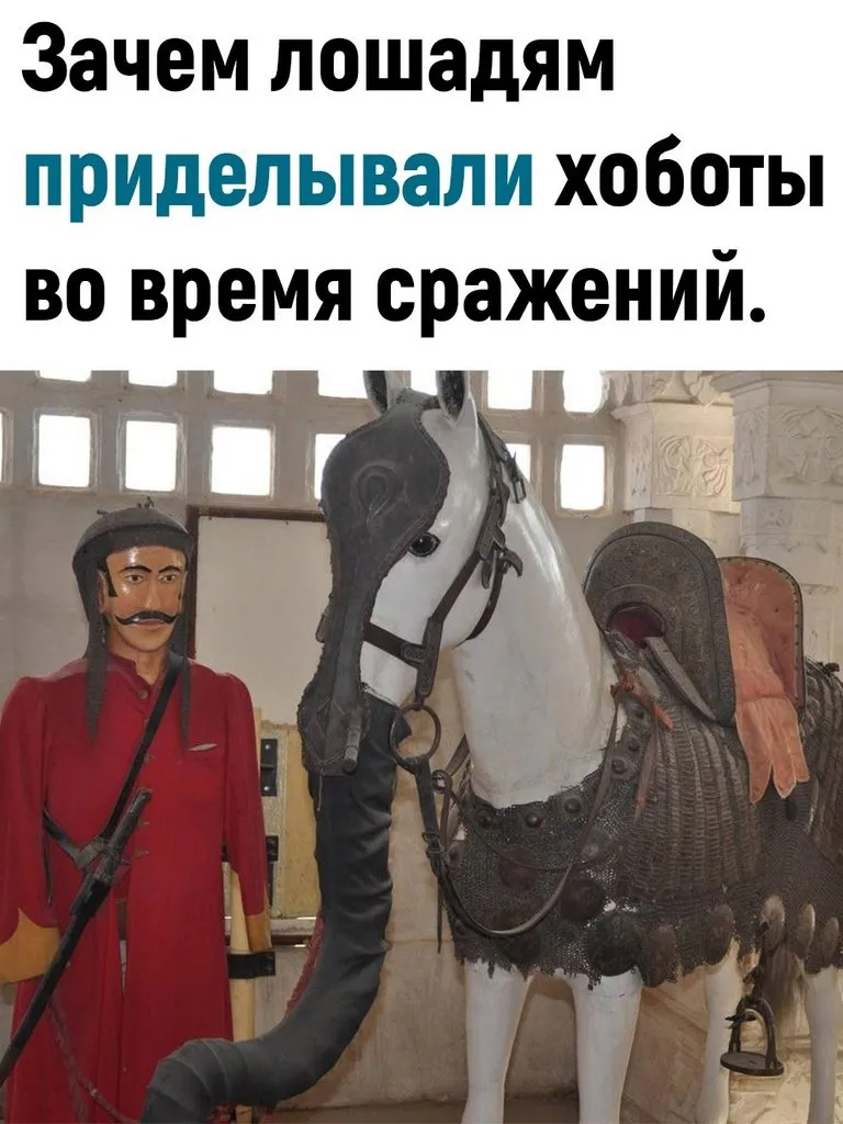 Это интересно!