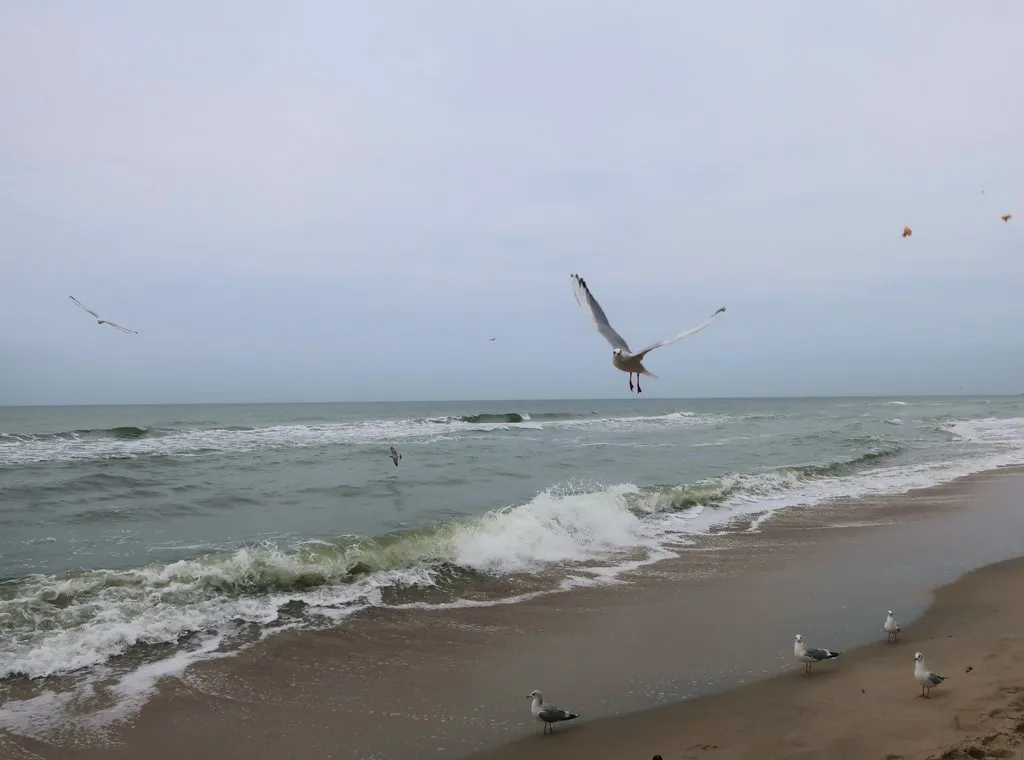 Ну здравствуй, Калининград! 35 лет спустя