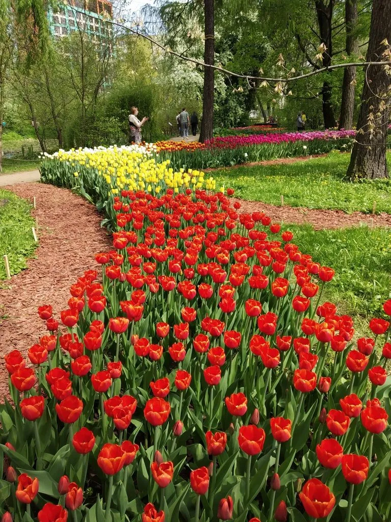 Чайная беседка