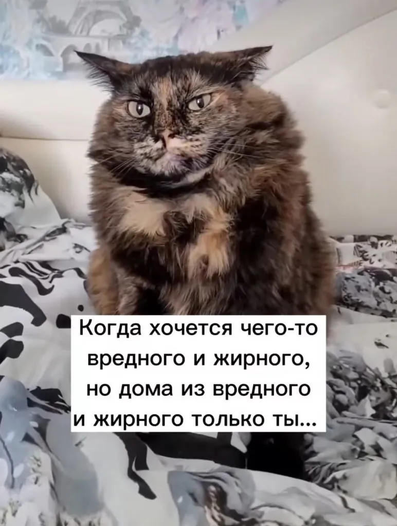 Посмеялся сам - поделись с другом!!!