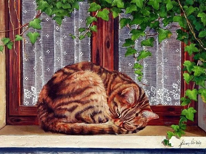 Кафе «У пани Сони»