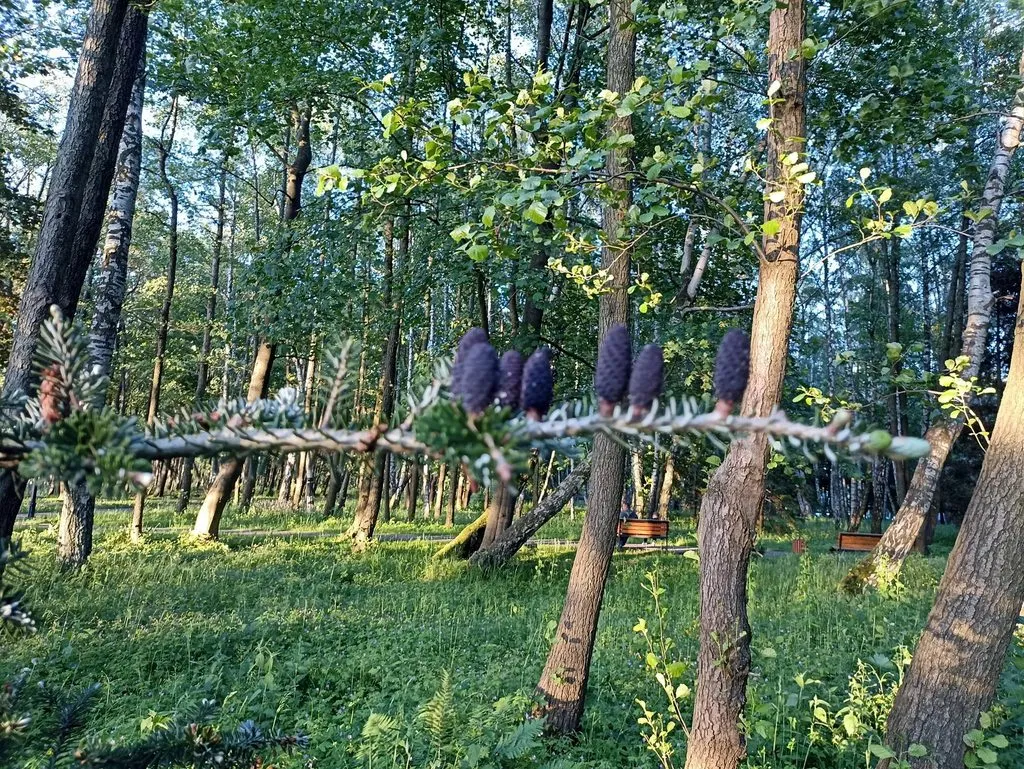 Калининградская область (не только море и янтарь) 