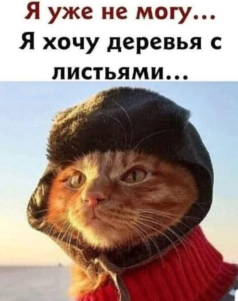 Кафе "У пани Сони"