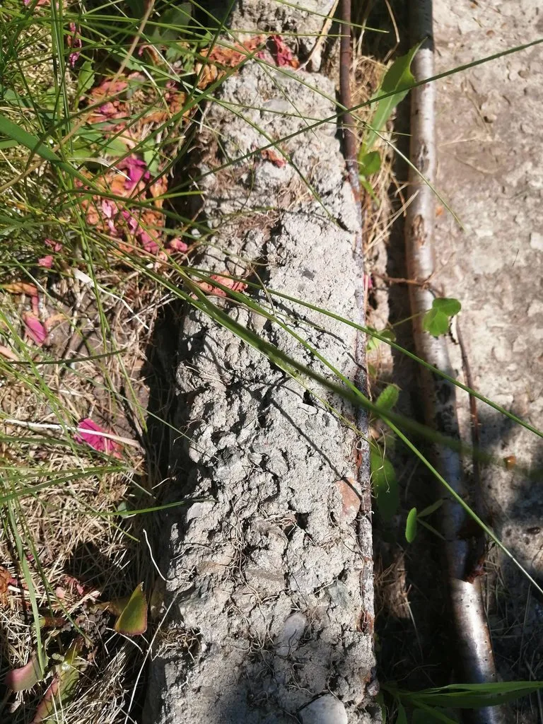 Чайная беседка