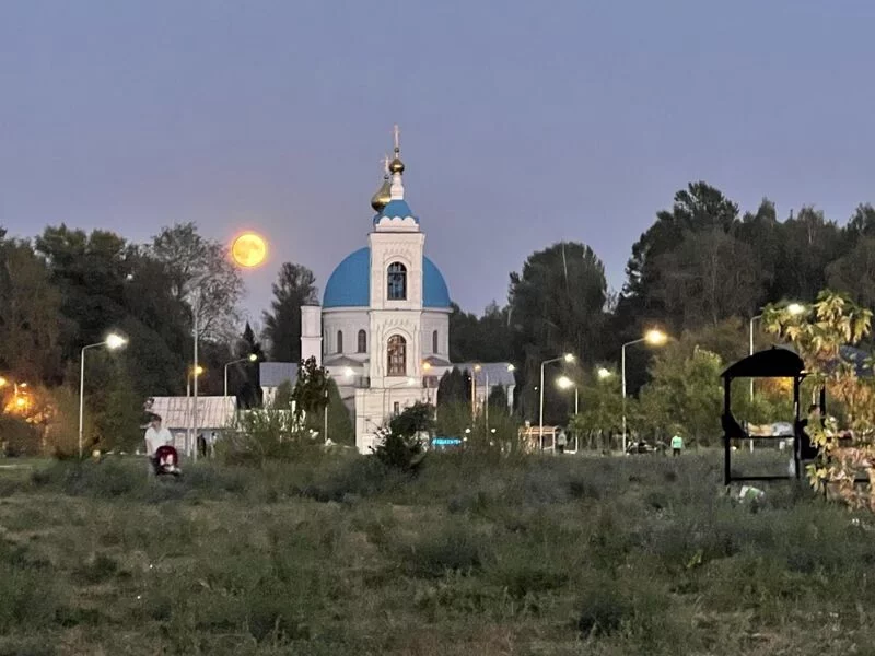 Tapтaлeтки & Ко