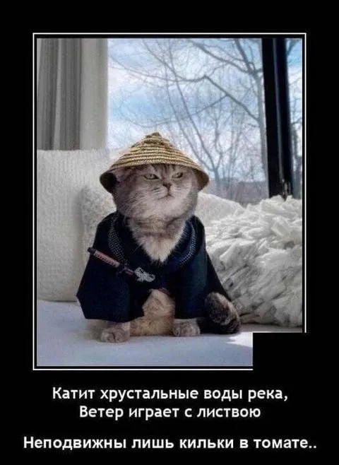 Посмеялся сам - поделись с другом!!!