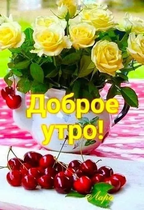 Кафе «У пани Сони»