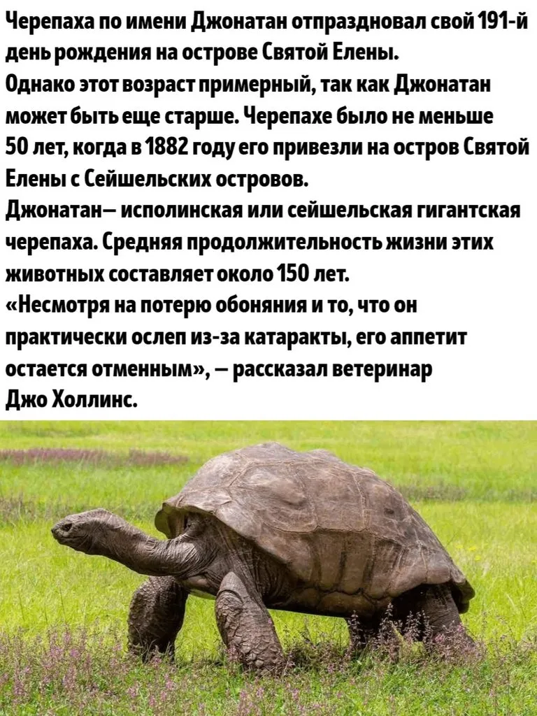 Это интересно!