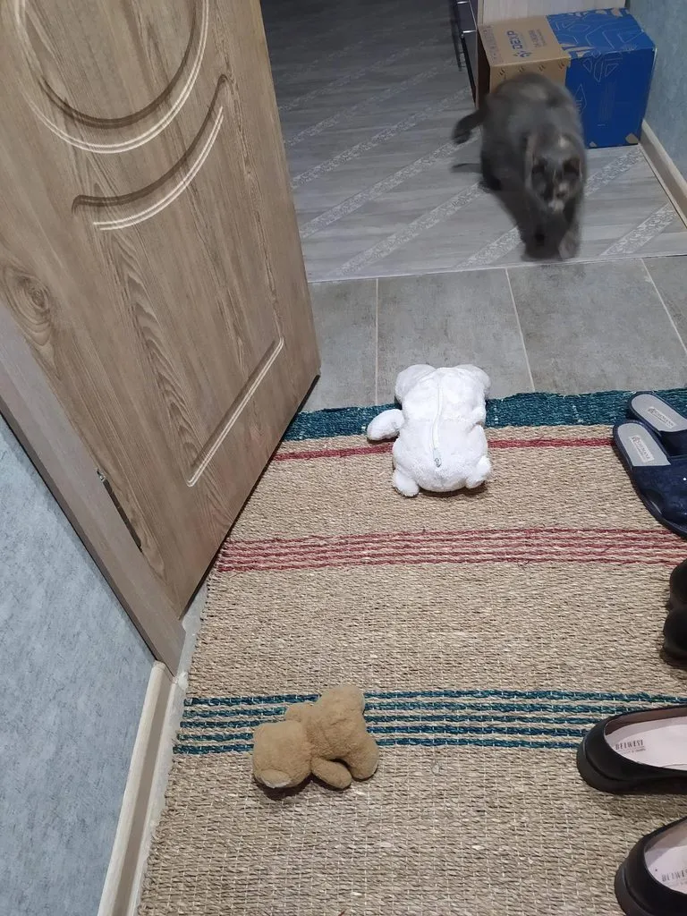 Tapтaлeтки & Ко