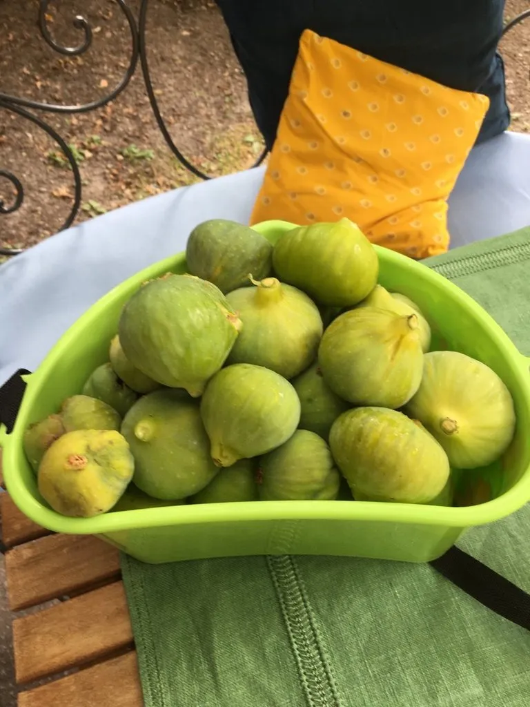 Чайная беседка