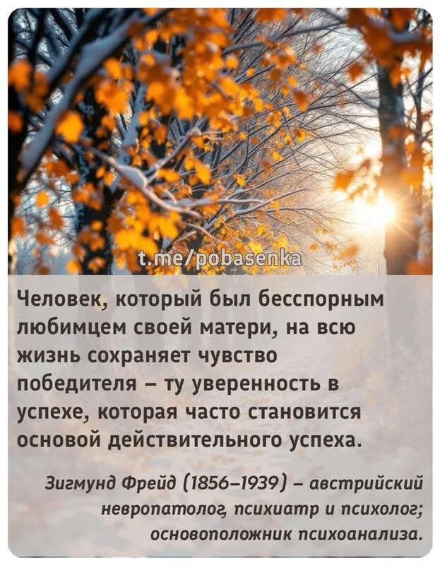 «Человек, который был бесспорным любимцем своей матери, на всю жизнь сохраняет чувство победителя ту уверенность в успехе,...» height="550" width="550"