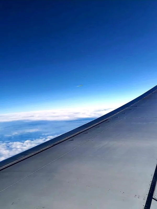 Такое разное небо