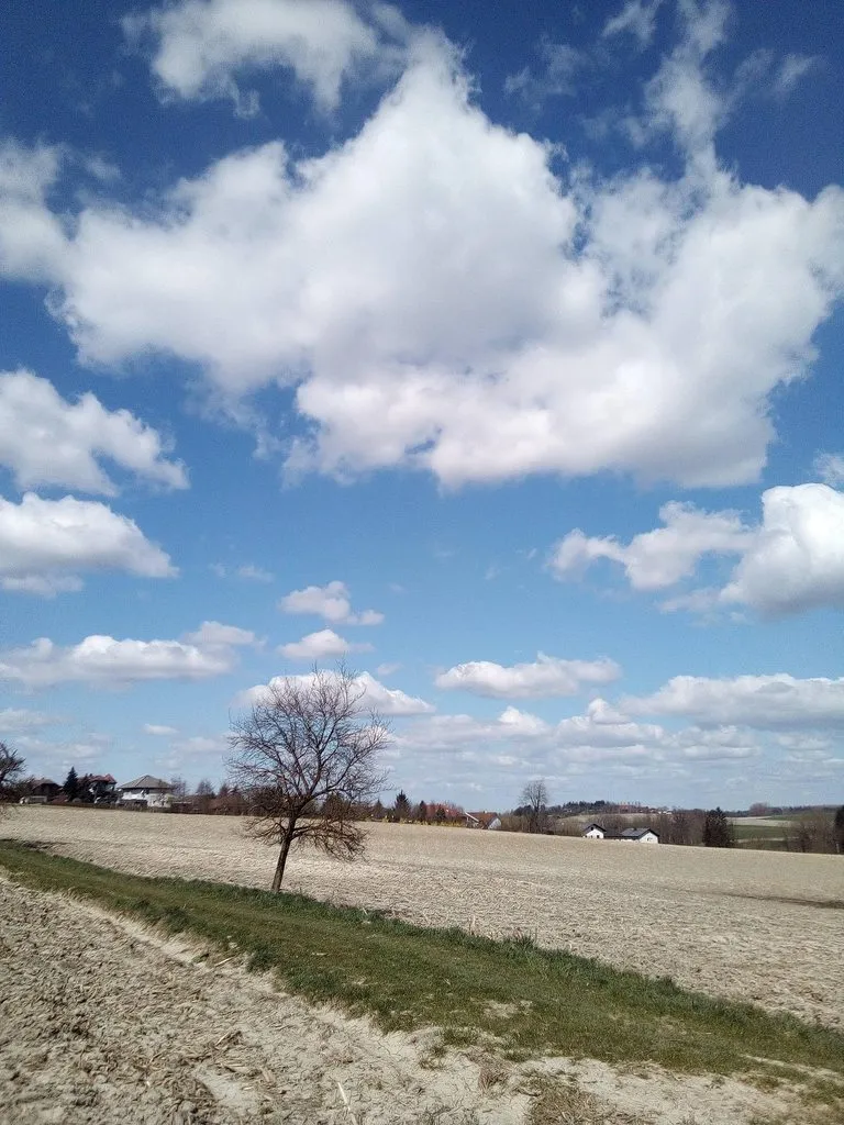 Tapтaлeтки & Ко