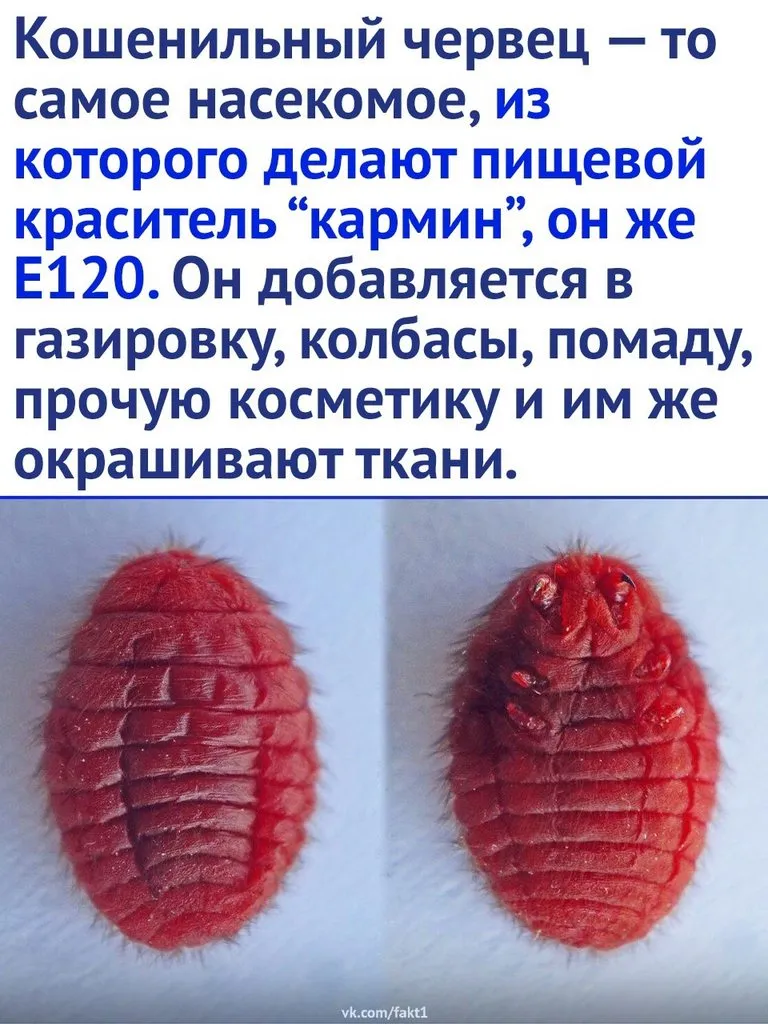 Это интересно!