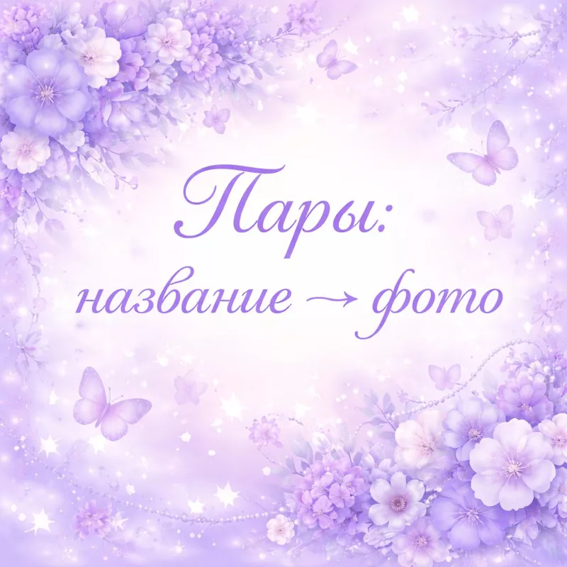 🔗 Викторина «Пары: название ↔ фото»