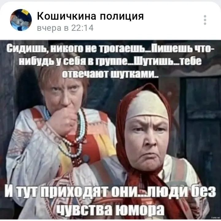 Кошичкина полиция