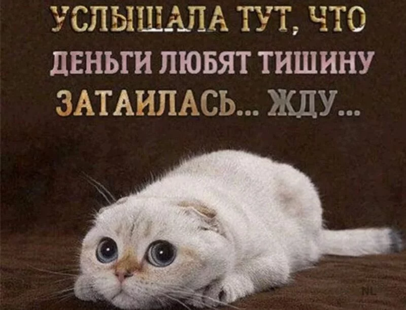 Кафе "У пани Сони"