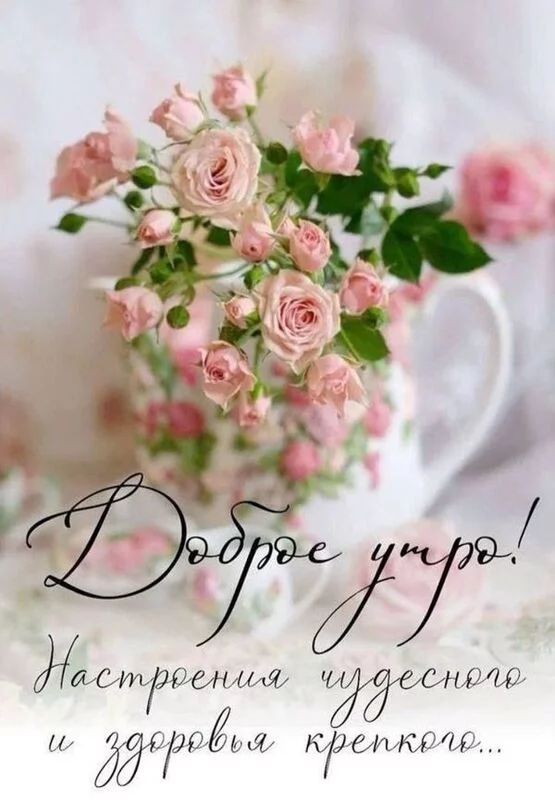 Кафе "У пани Сони"