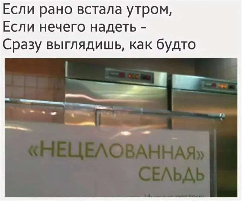 Всюду рифмы