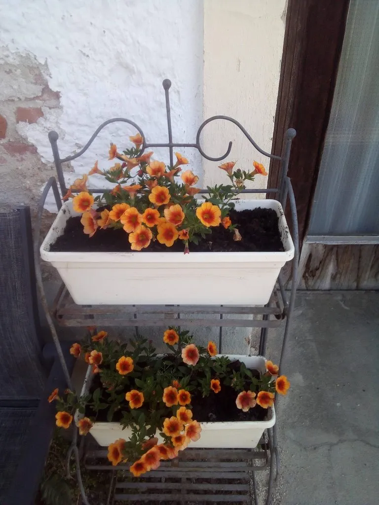 Чайная беседка