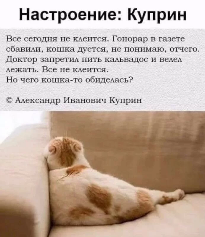 Посмеялся сам - поделись с другом!!!