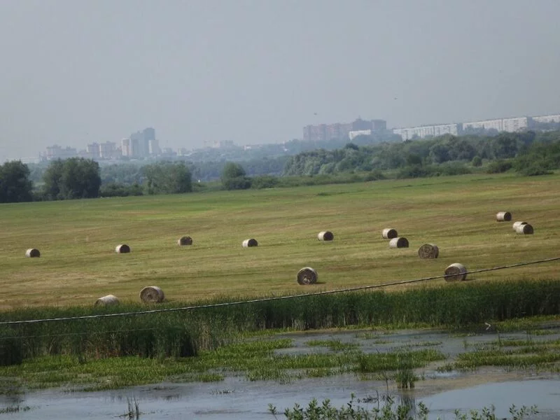 Фотонастроение