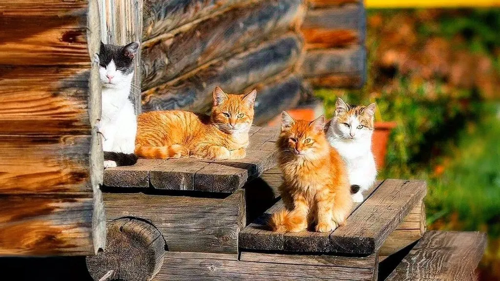 Рассказы для души