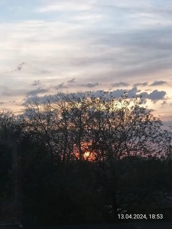 Такое разное небо