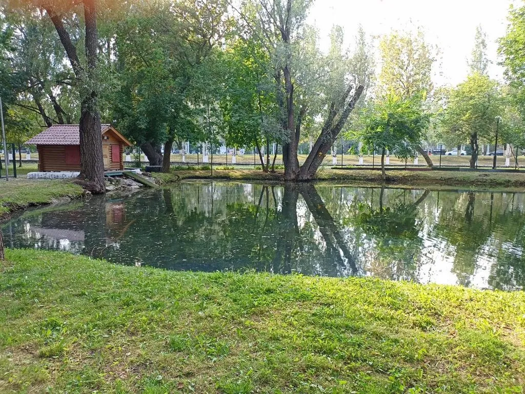       Ах, Самара - городок... 