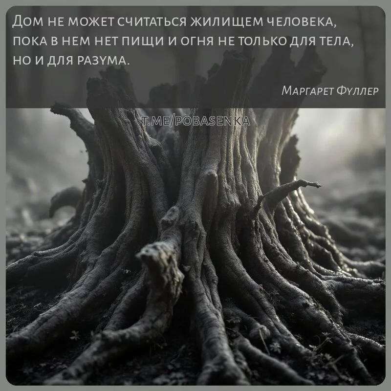 «Дом не может считаться жилищем человека, пока в нем нет пищи и огня не только для тела, но и для...» height="550" width="550"
